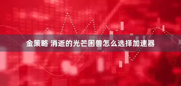金策略 消逝的光芒困兽怎么选择加速器