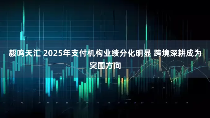 毅鸣天汇 2025年支付机构业绩分化明显 跨境深耕成为突围方向